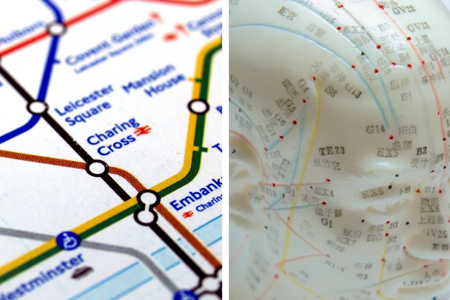 tube map vs acupuncture channels